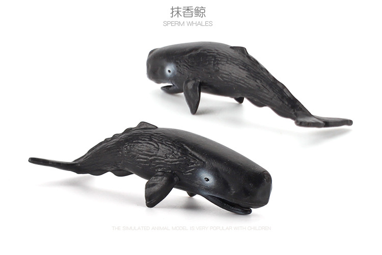 Mô Hình Cá Heo Cá Voi Cá Mập Đồ Chơi Bằng Nhựa Cho Bé