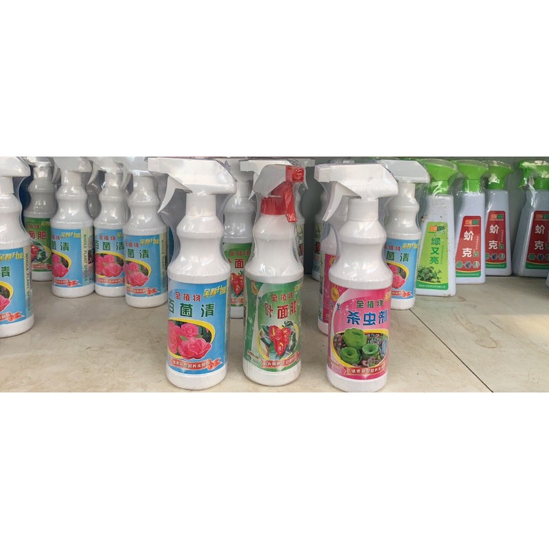 Xịt Rệp bệnh cho sen đá, xương rồng cây mọng nước