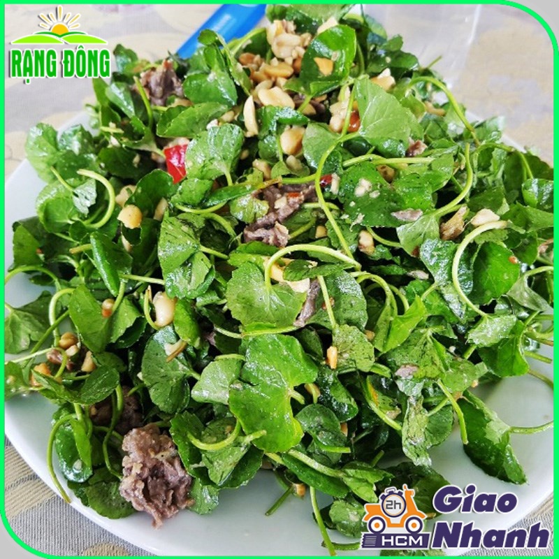 Hạt giống Rau Má Lá Lớn trồng quanh năm, năng suất cao - Hạt giống Rạng Đông