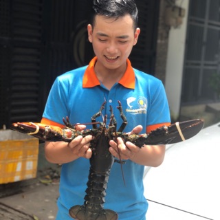 Hải Sản Kỳ Hà