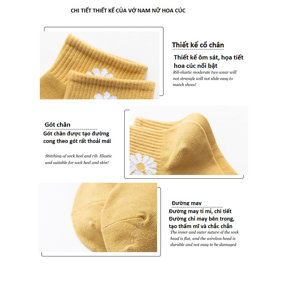 Sét 10 Đôi Tất Bông Cúc Họa Mi Mềm Nhẹ Thoáng Mát Đôi Chân, Khử Mùi, Chống Hôi Chân