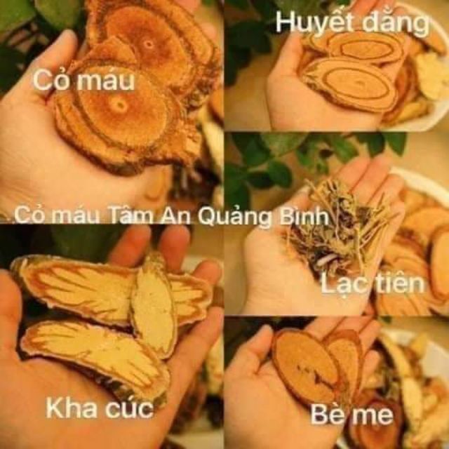 Cỏ máu tăng cân, bổ máu Quảng Bình gói 1kg