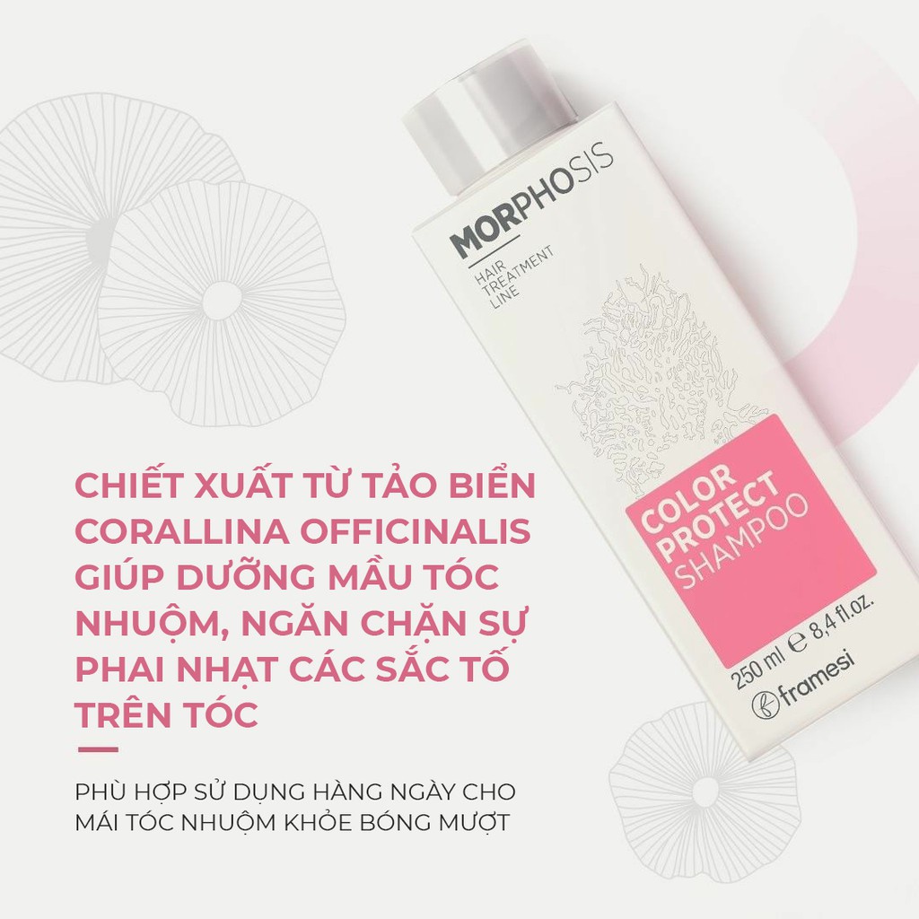 [Hàng Italy] Dầu gội dưỡng tóc nhuộm dưỡng ẩm giữ bền màu tóc đẹp sáng bóng FRAMESI MORPHOSIS COLOR SHAMPOO | BigBuy360 - bigbuy360.vn
