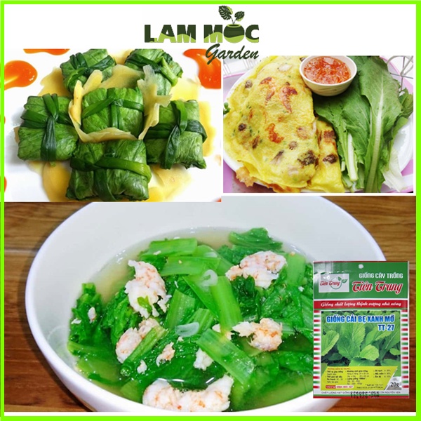 Hạt giống Cải Xanh - Gói 20gr