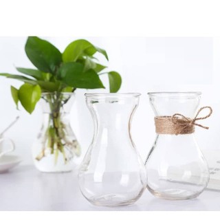 LY THỦY TINH MIỆNG LOE (LY TIÊN ÔNG) 350ML ĐỰNG SINH TỐ, DECOR, TRỒNG CÂY, TRANG TRÍ