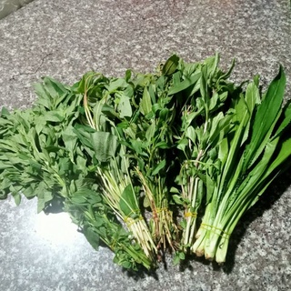- combo 5 loại lá rau thơm 250g