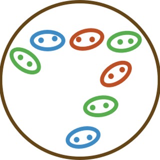 Bay heo con Shop CN02