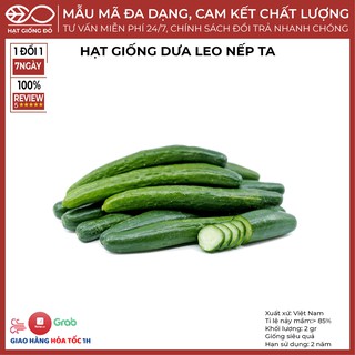 Hạt Giống Dưa Chuột Nếp Ta (2gr) - Cây khỏe, nhiều trái, đẻ nhánh mạnh