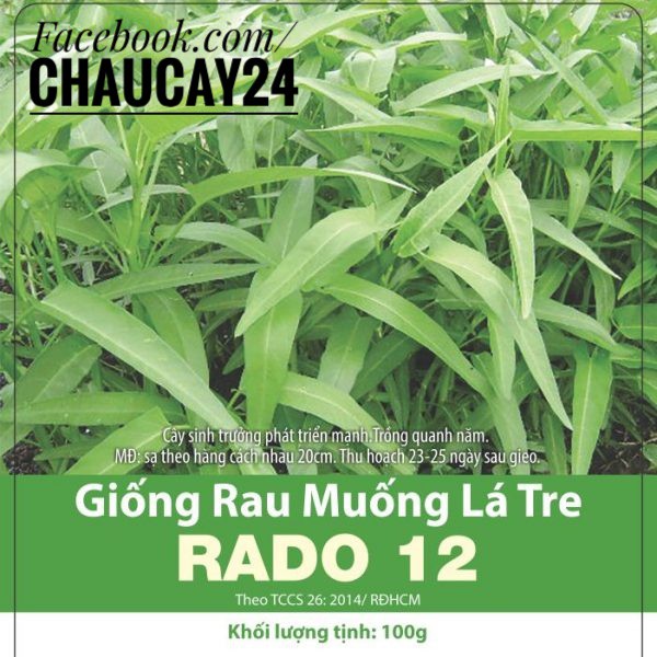 Rau Muống Lá Tre (50-100gr) Hạt Giống Dễ Trồng, Năng Suất Cao