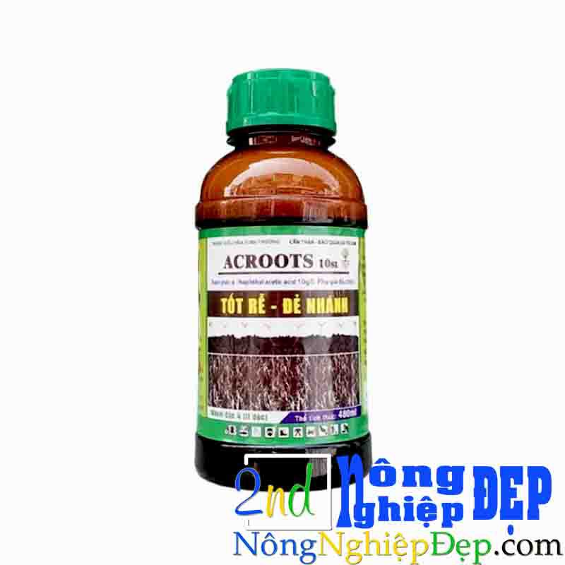 10 chai Acroots 10SL – Tốt Rễ, Đẻ Nhánh - 480ml