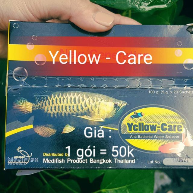 Combo 3 goi thuốc trị bệnh cá cảnh yellow care