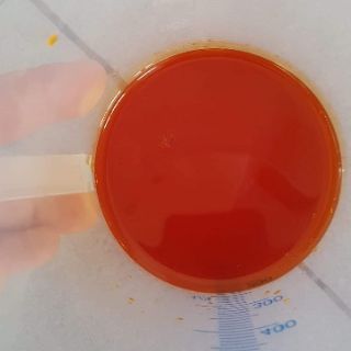 Dầu gấc 100ml