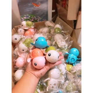 Rùa Con Tập Bơi Trong Nước Cho Bé