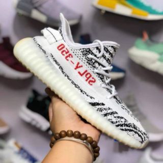 Yz350 v1 v2