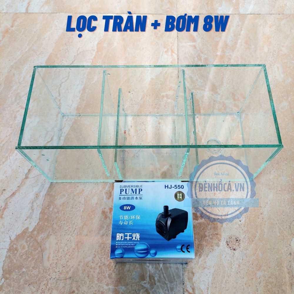 Lọc tràn bể cá bằng KÍNH 30cm cho hồ cá hồ thủy sinh