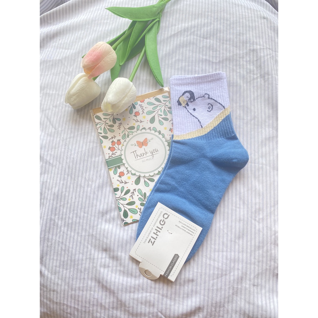 Tất trắng Muzini tất cổ cao tone xanh hoạt tiết gấu nhiều hình cute TN222