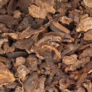 Ngọc toả dương ( nấm ngọc cẩu khô)