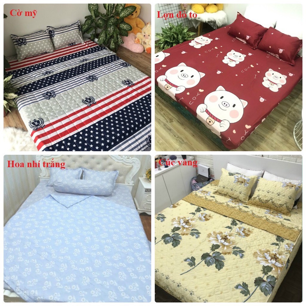 Bộ chăn hè ga gối poly cotton( CHAT ĐỂ CHỌN MẪU)