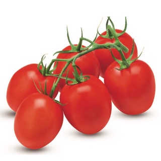 Hạt giống cà chua bi 0.1g