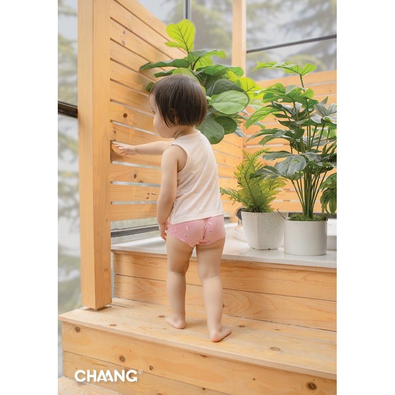 Set 3 quần chip CHAANG SUMMER 2021 cho bé trai bé gái