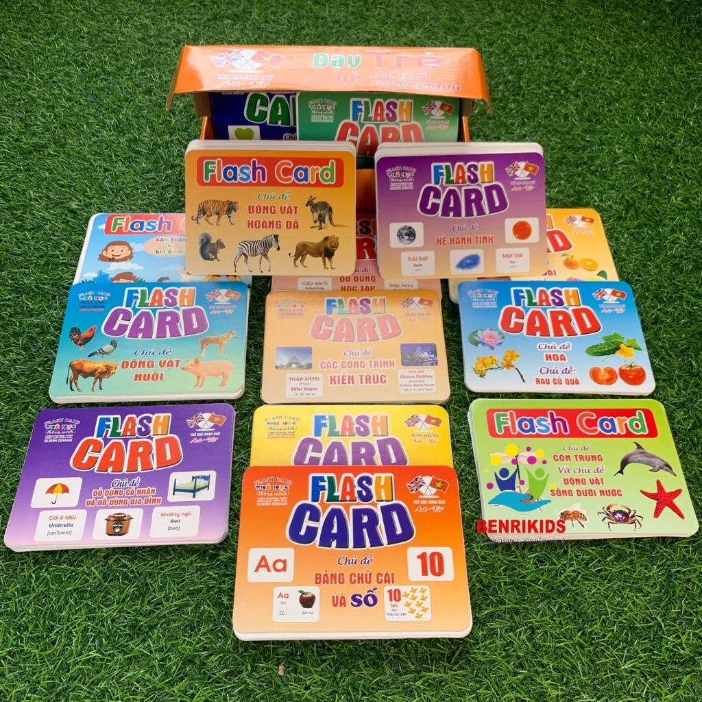 Đồ Chơi Thẻ Học Thông Minh Cho Bé Loại Lớn 252 Thẻ Flashcard Glenn Doman