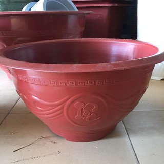 5 chậu nhựa trồng hoa sen hoa súng t48 kích thước 45x25 cm