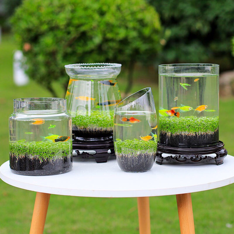 🔥🔥🔥 Bể Cá Thủy Tinh Mini Kèm Hạt Cây Thuỷ Sinh Để Bàn Decor