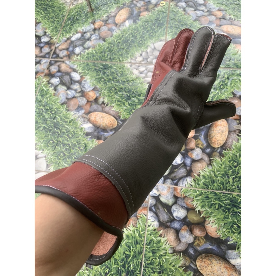 Găng chim săn mồi 2 lớp dài 40cm dùng cho đại bàng