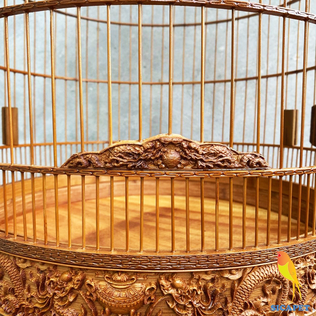 Lồng chim chòe than, chim chòe lửa, chim chích chòe, chim chào mào, Lồng nuôi chim chòe than, chim chòe lửa SICAPET