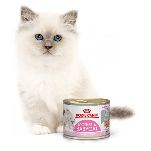 Pate Royal Canin Babycat Instinctive cho mèo mẹ và mèo con 195g