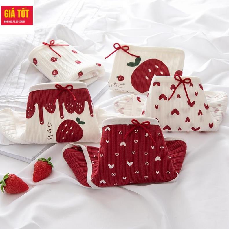 Quần chip cotton cho be gái 20kg 30kg 40kg  ☑️ quần lót trẻ em nữ   ☑️ Thời trang cho bé gái 13 tuổi