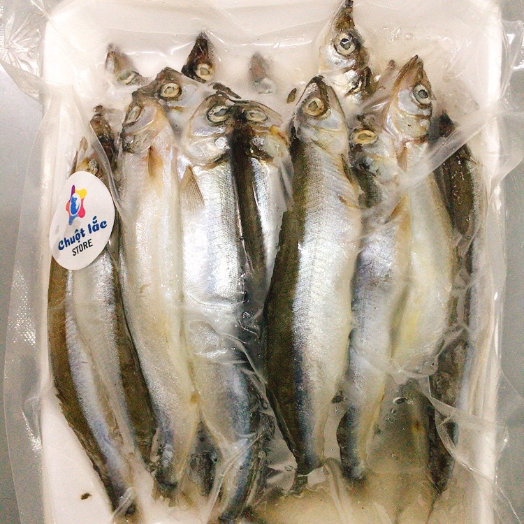 Cá trứng 500gr nét đủ Chỉ giao hỏa tốc TPHCM
