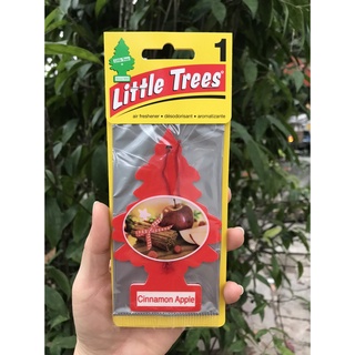 COMBO 50 CÂY THÔNG THƠM LITTLE TREES