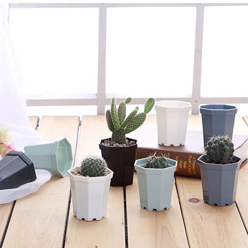 Chậu Hoa Mini Hình Bát Giác Bằng Nhựa Nhiều Màu Sắc Dùng Trang Trí