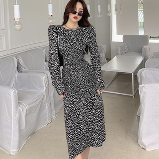 Đầm Dài Tay In Họa Tiết Da Báo Xinh Xắn Theo Phong Cách Hàn Quốc