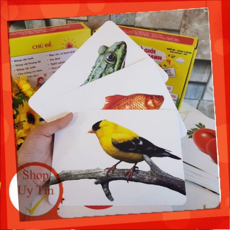 BỘ THẺ HỌC THÔNG MINH THEO PP GELDOMAN ( IB để nhận hướng dẫn dạy bé theo giai đoạn). Flash card cho bé