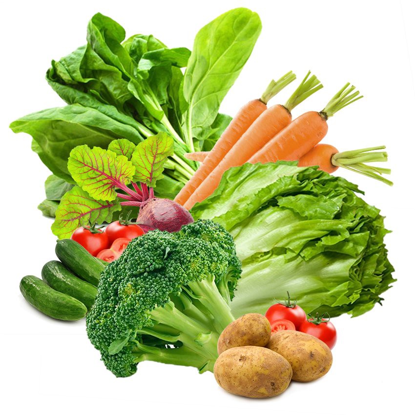 Cách bảo quản rau trong tủ lạnh được lâu nhưng vẫn tươi 3