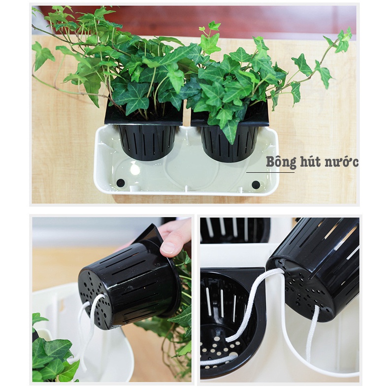 Chậu cây treo tường Oliz BG0. Chậu trồng cây tự tưới nước cho cây. Có thể lắp ghép cho diện tích lớn