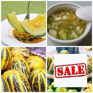 Gói 20 hạt giống dưa bở sale