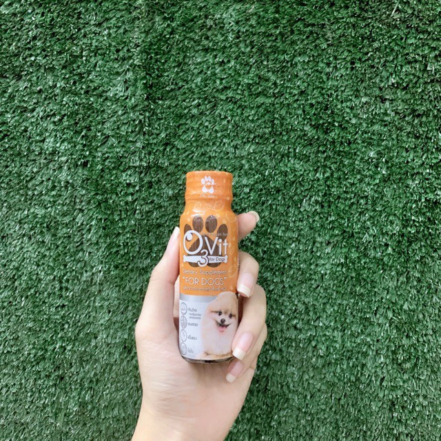 Siro kích thích thèm ăn, Bổ Sung Vitamin & Omega3 cho 🐶 Ảnh thật