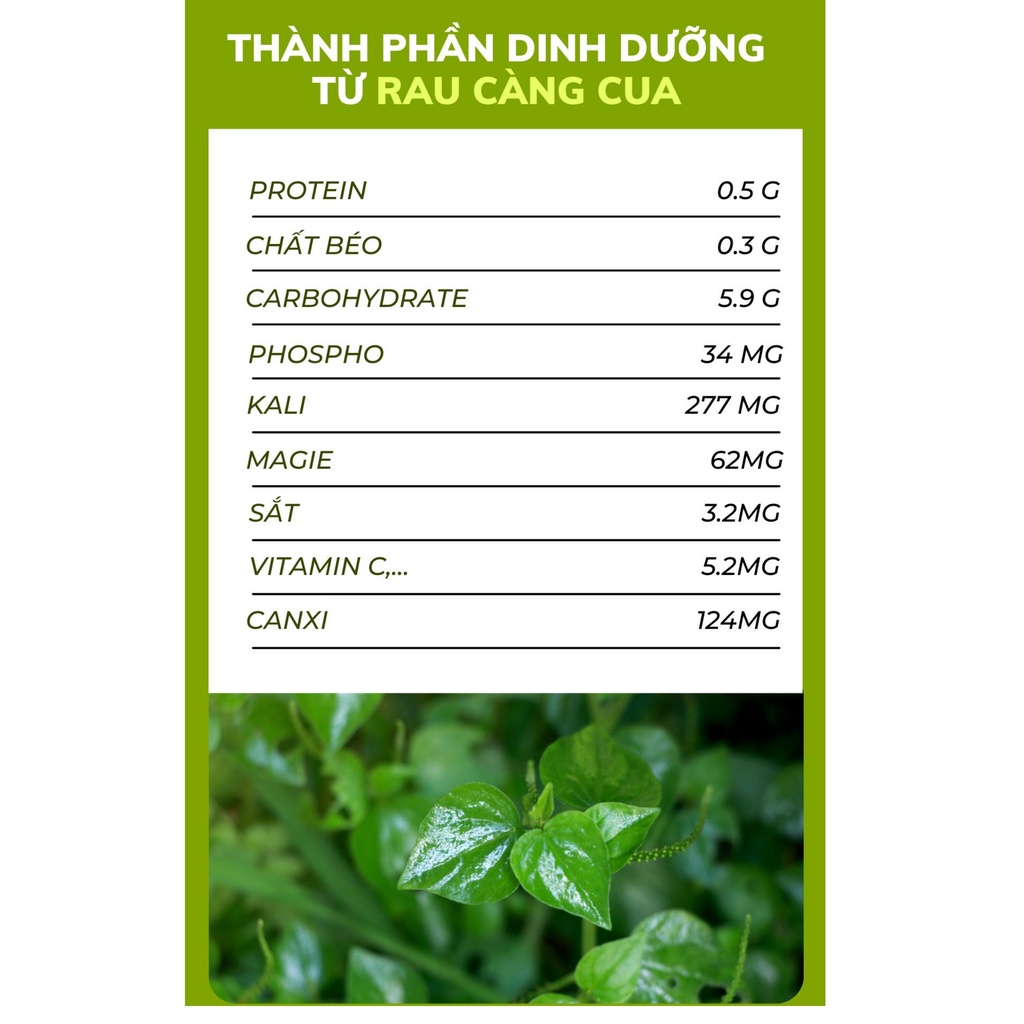 Hạt giống rau càng cua - rau củ quả trồng chậu, sân vườn ban công ngon giòn ngọt nảy mầm cao 0,5gr RADO666
