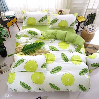 (HÌNH THẬT 100%)BỘ CHĂN GA CHẦN GÒN COTTON NHẬP LEMON TREE (M6,M8)