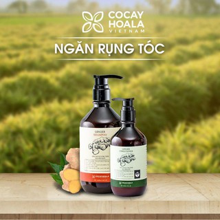 COMBO DẦU GỘI XẢ GỪNG CỎ CÂY HOA LÁ - CHĂM SÓC TÓC RỤNG, NGỨA, GÀU