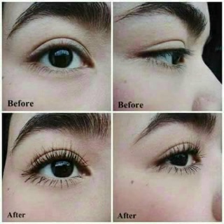 SERUM MỘC LÔNG MÀY - RÂU - TÓC Thái Lan