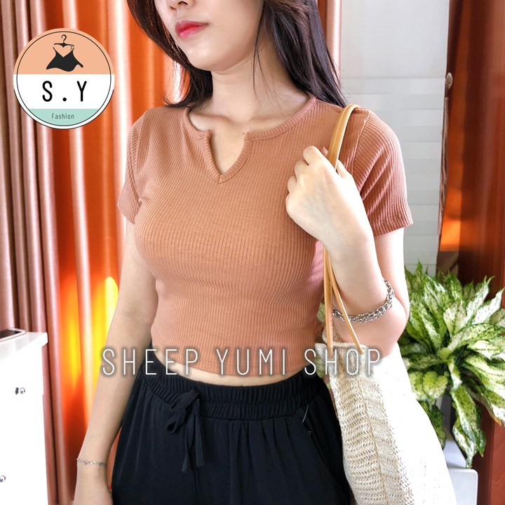 Áo Thun Croptop Cổ Tròn Khoét Chữ V Dáng Ôm Vải Co Giãn SHEEP YUMI SHOP AC09