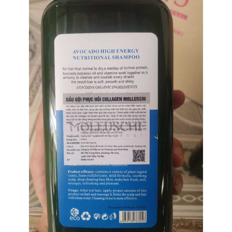 Cặp Dầu gội xả Molluschi