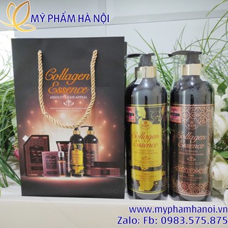 Dầu Gội Và Xả Phục Hồi, Ngăn Ngừa Rụng Tóc Collagen Essence