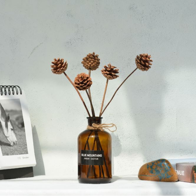 Cành Quả Thông khô cắm lọ dùng trang trí decor vintage
