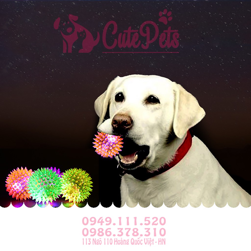 Bóng chút chít gai phát sáng dành cho thú cưng - CutePets Phụ kiện chó mèo Pet shop Hà Nội