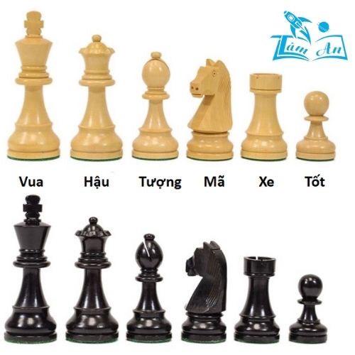 Cờ vua/ Cờ cá ngựa/ Cờ tướng/ Cờ tỷ phú/ Cờ ô quan... nhiều loại giúp phát triển trí tuệ cho trẻ